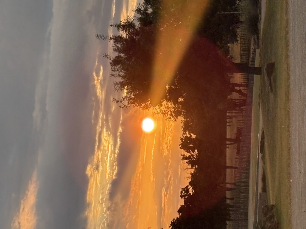 Gratitude  Monica Henning