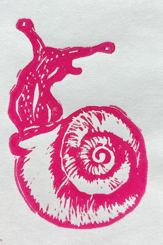 The Love Snail  Stephanie Huerta