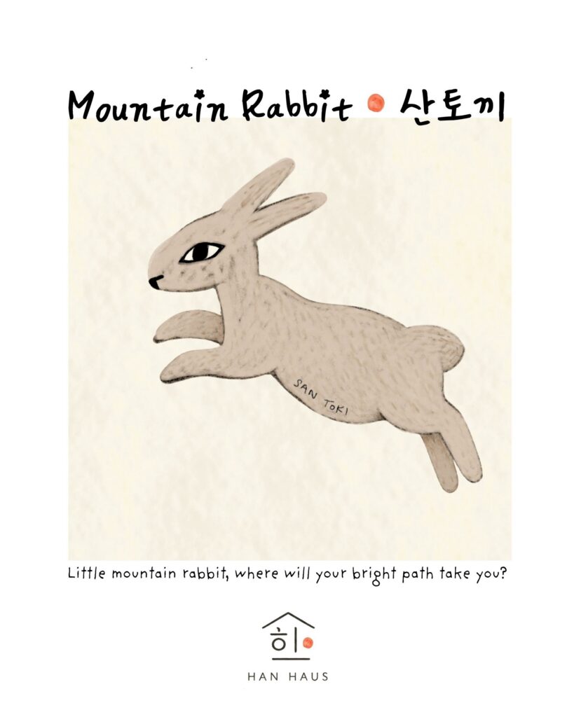The Mountain Rabbit  Terry Han