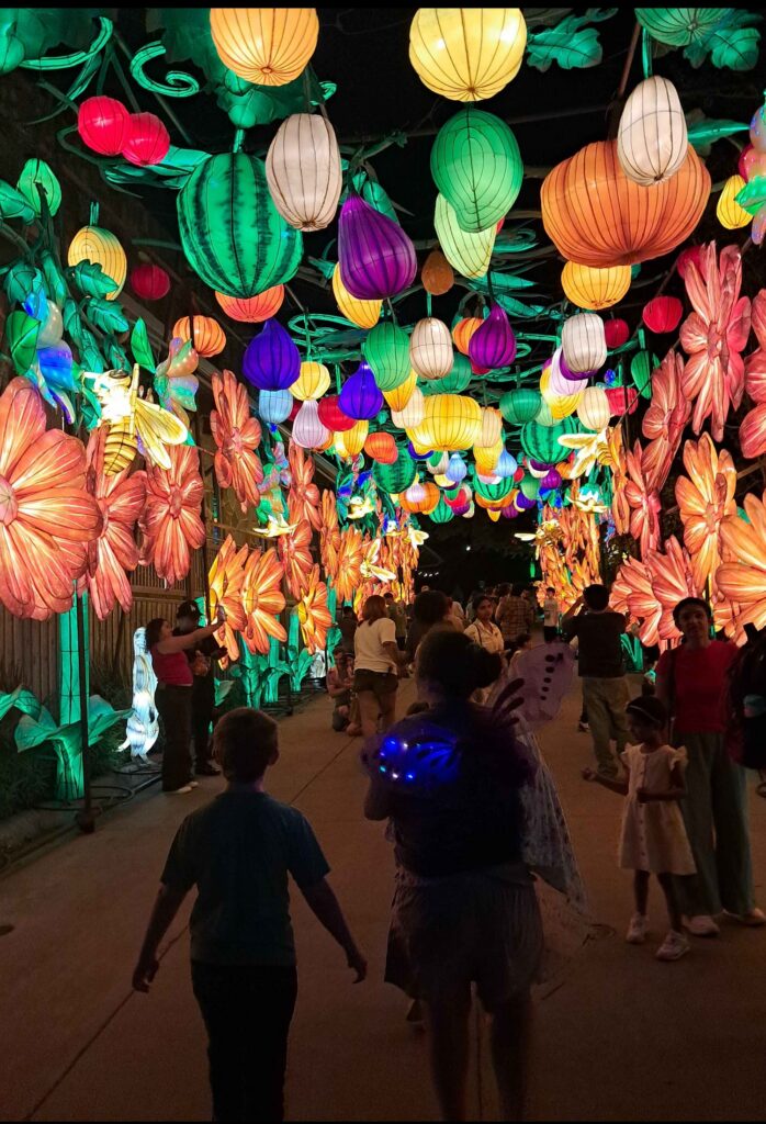 tunnel of lights  Matthew Edwards